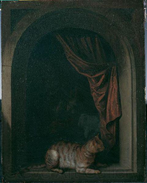 Gerard Dou Eine Katze am Fenster eines Malerateliers France oil painting art
